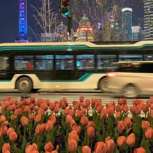 嗯⋯啊⋯在温泉做h爱
